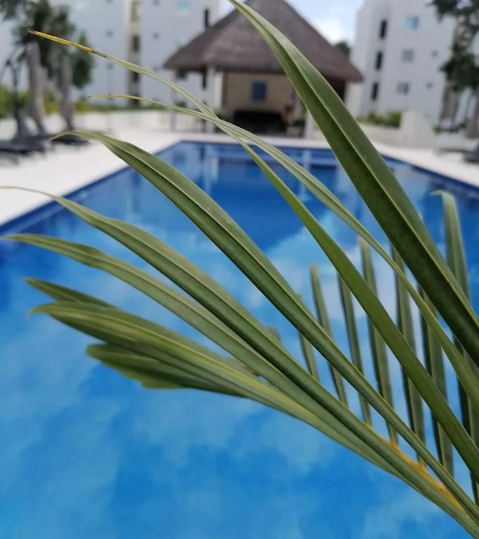 Appartamento Departamento Itzae Playa del Carmen